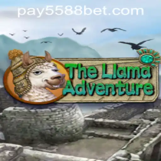 The Llama Adventure: Explore an Unforgettable Journey